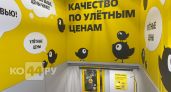 Забежала за хлебом, а скупила пол-отдела: показываю находки из «Чижика» - новинки 2026