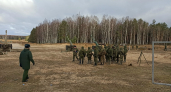 В Костроме подали обращение о гибели военных