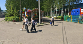 Костромичей замучила белая метель из тополиного пуха в июне